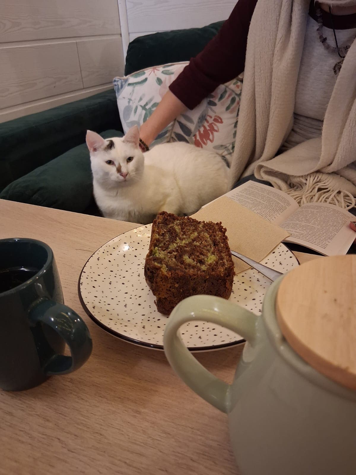 Chat au Mia House